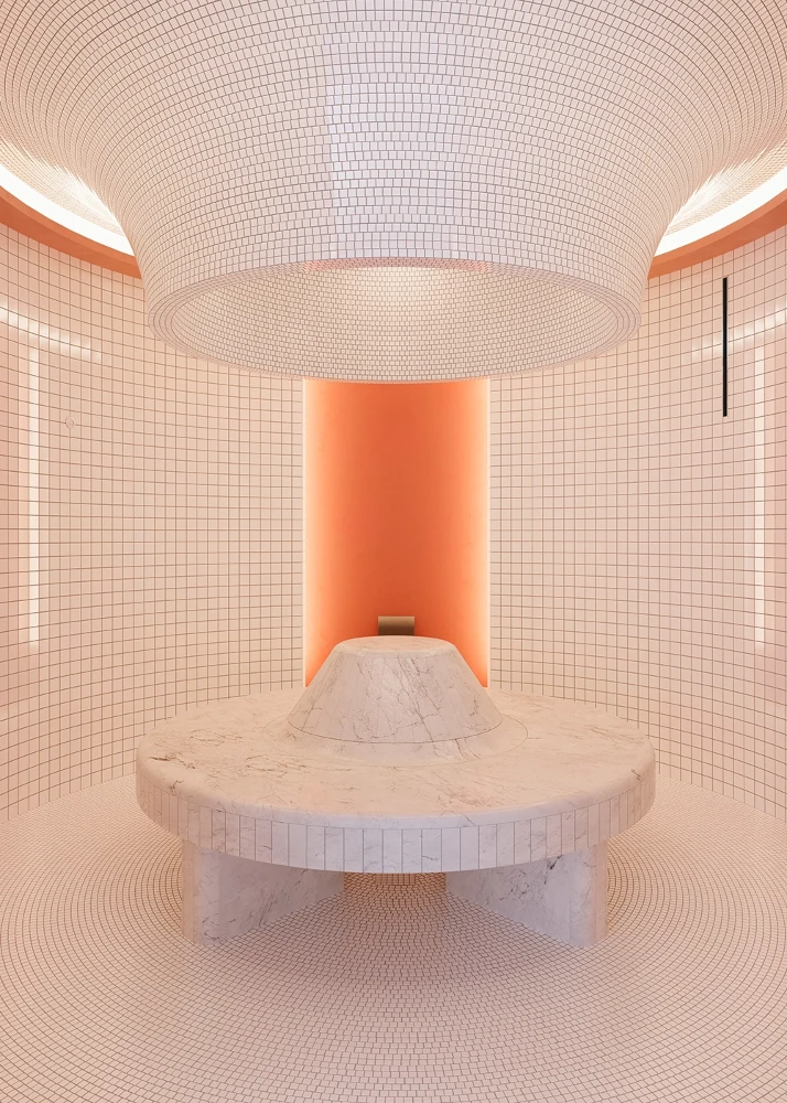 Проект хаммама в BIM с автоматизированной системой управления от KLAFS для СПА-зоны